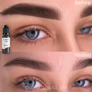 Etalon Mix  Hybrid Brow Pigments Mini Set 5 ml Supreme Permanent