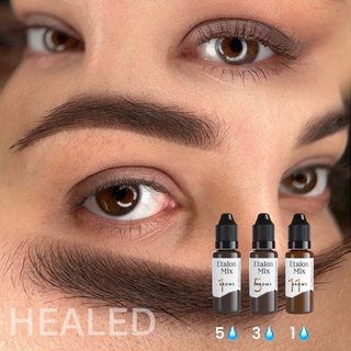 Etalon Mix  Hybrid Brow Pigments Mini Set 5 ml Supreme Permanent