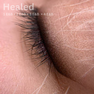 Hanafy No.3 Eyes & Brows by Olga Kostinetskaya Hybrid Pigment Supreme Permanent