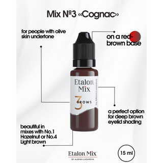 Etalon Mix  Hybrid Brow Pigments Mini Set 5 ml Supreme Permanent