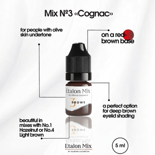 ETALON MIX  Hybrid Brow Pigments Mini Set 5 ml New Supreme Permanent