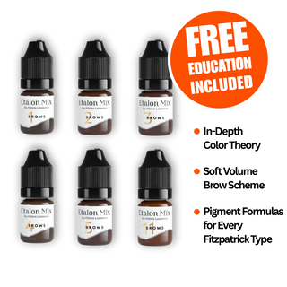 Etalon Mix  Hybrid Brow Pigments Mini Set 5 ml Supreme Permanent