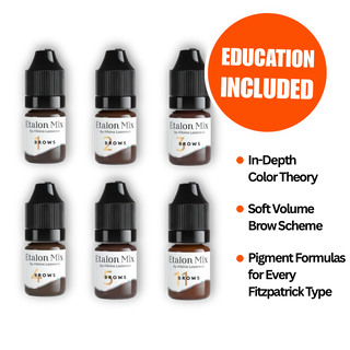ETALON MIX  Hybrid Brow Pigments Mini Set 5 ml New Supreme Permanent