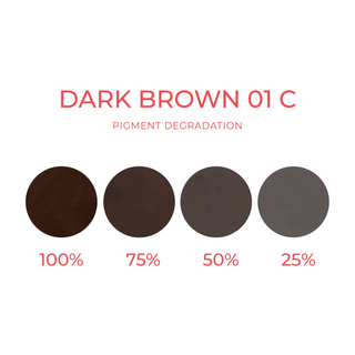 Artyst Dark Brown 01 C 10ml